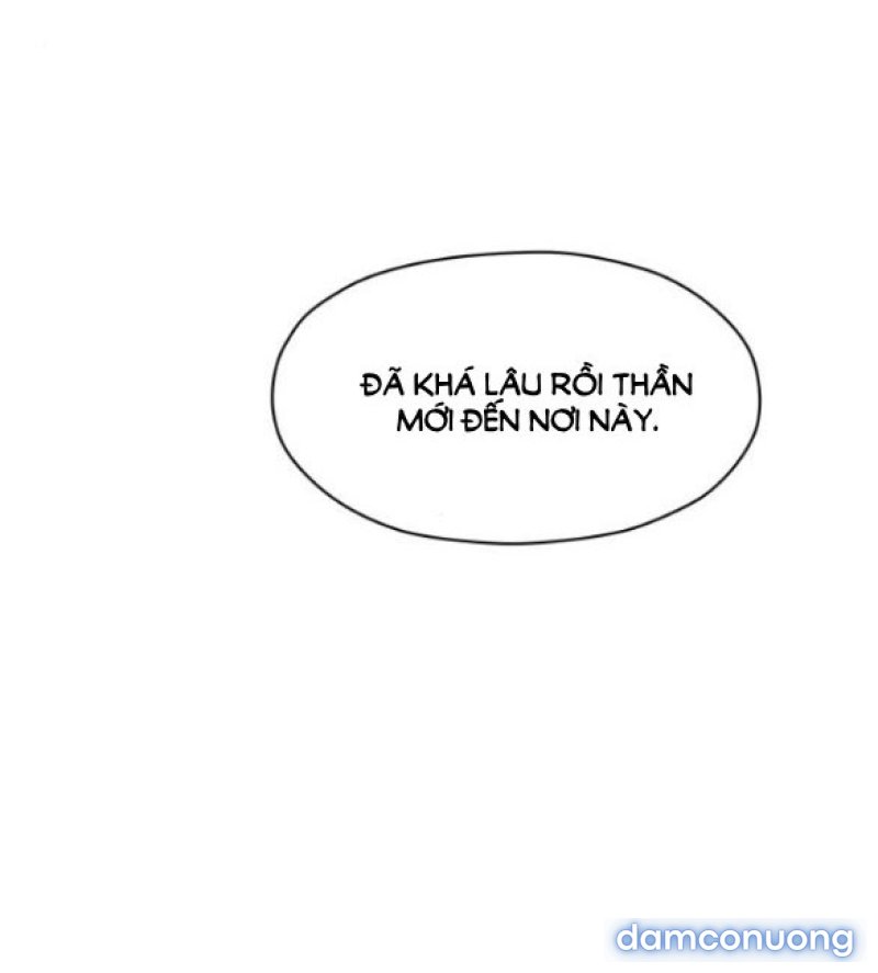 Chuyến Đi Đêm Cùng Nhà Vua 