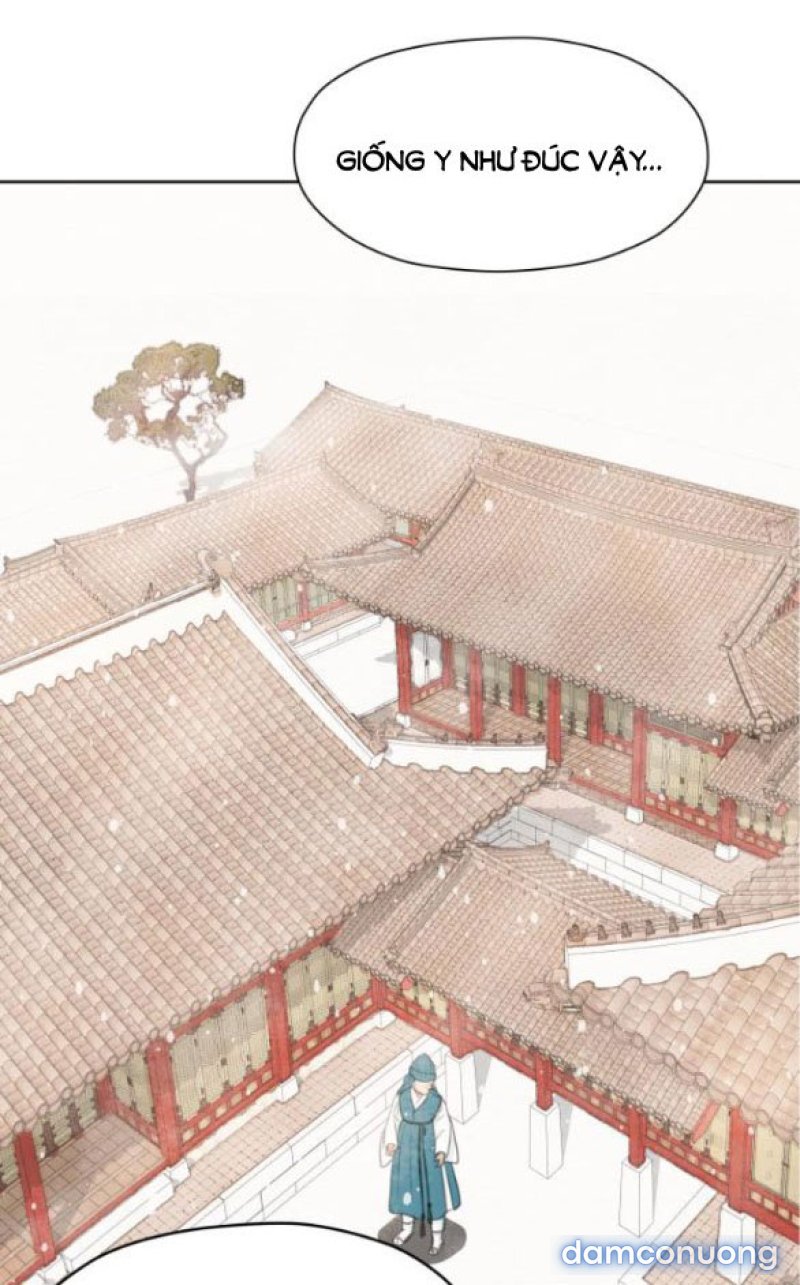 Chuyến Đi Đêm Cùng Nhà Vua 