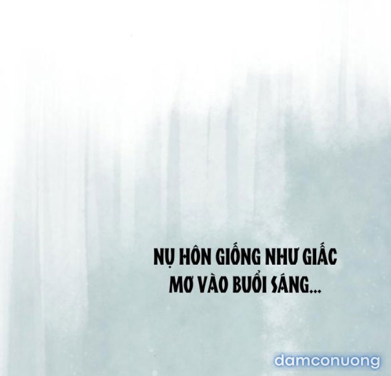 Chuyến Đi Đêm Cùng Nhà Vua 