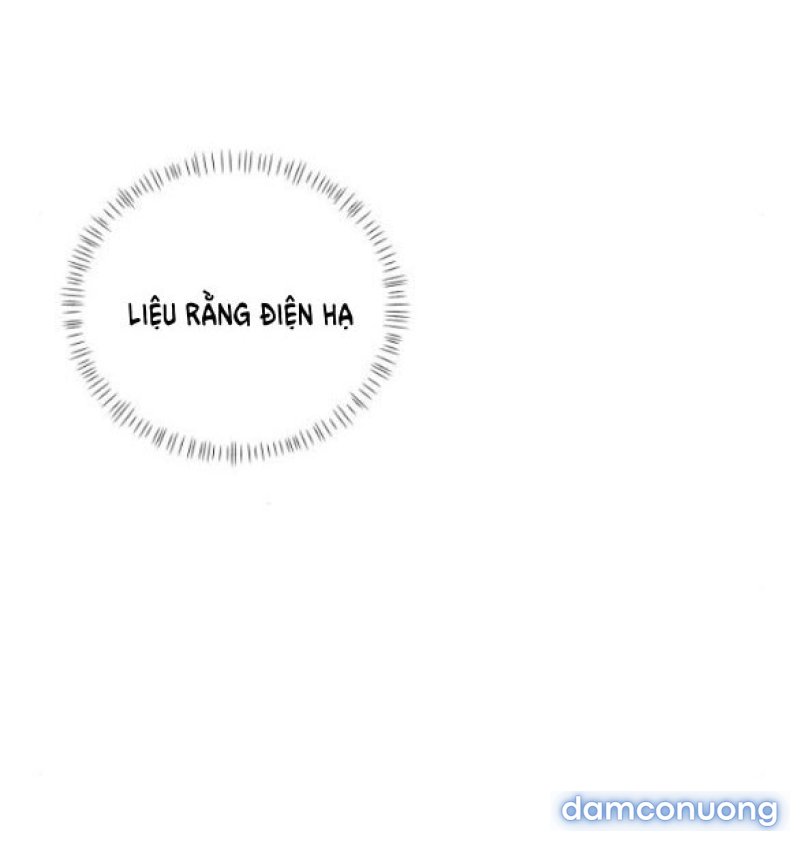 Chuyến Đi Đêm Cùng Nhà Vua 