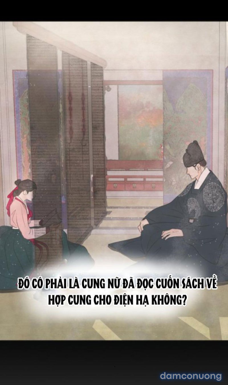 Chuyến Đi Đêm Cùng Nhà Vua 