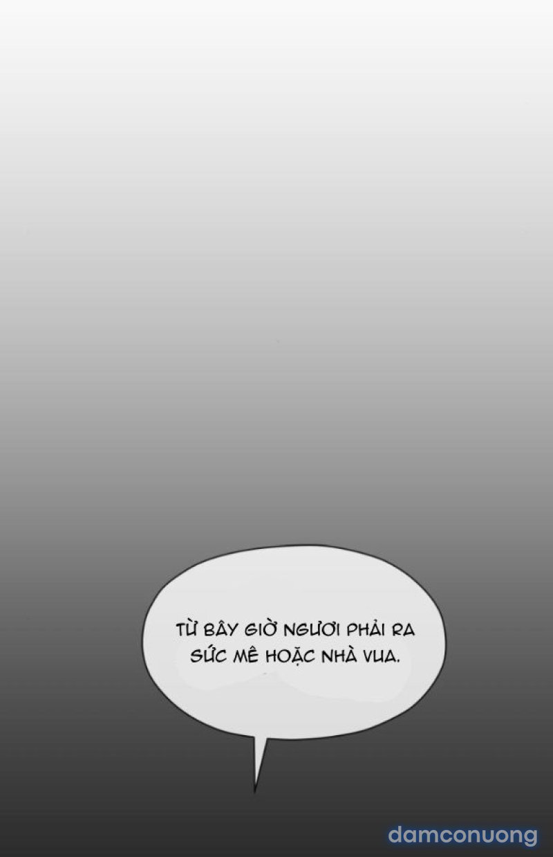 Chuyến Đi Đêm Cùng Nhà Vua 