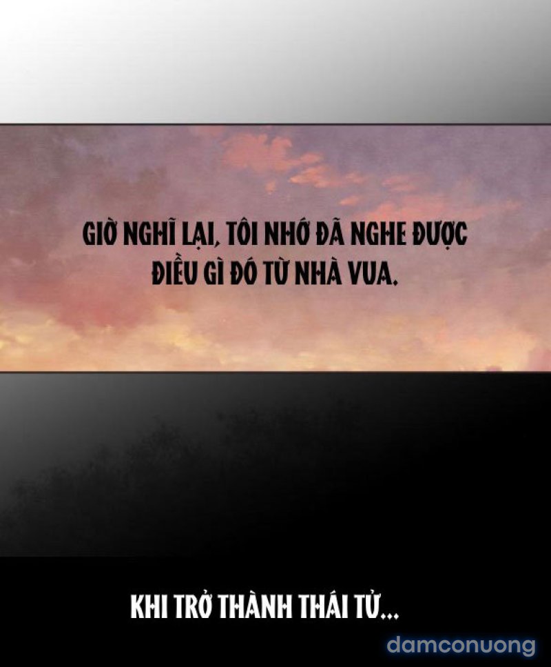 Chuyến Đi Đêm Cùng Nhà Vua 