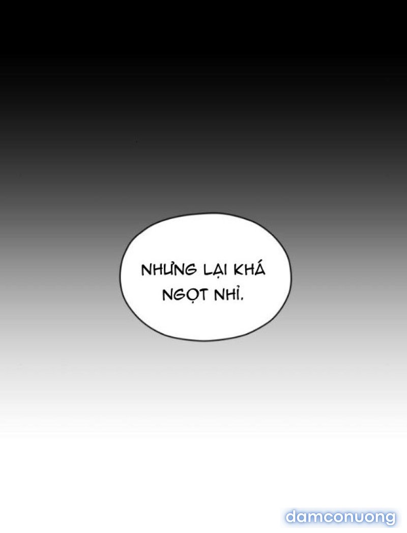 Chuyến Đi Đêm Cùng Nhà Vua 