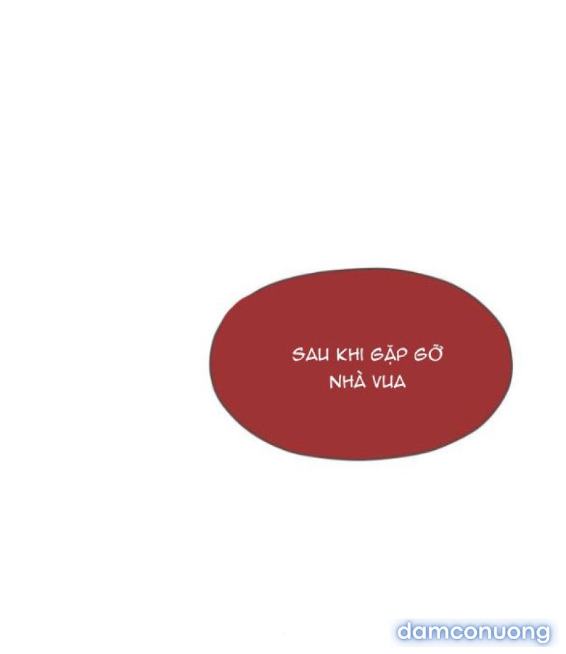 Chuyến Đi Đêm Cùng Nhà Vua 