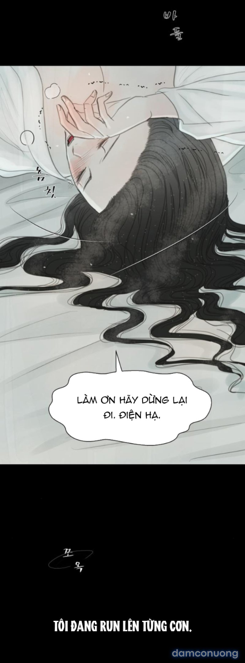 Chuyến Đi Đêm Cùng Nhà Vua 