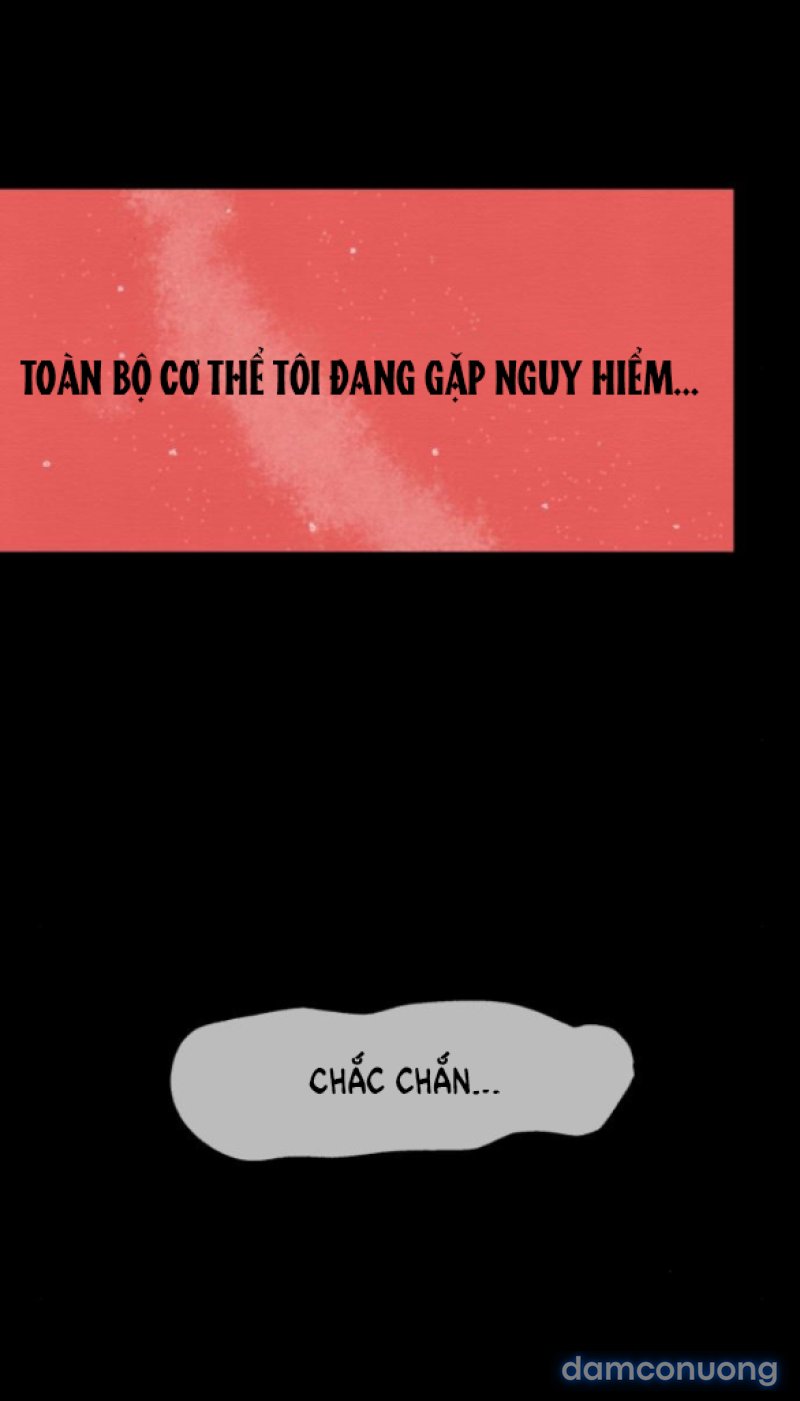 Chuyến Đi Đêm Cùng Nhà Vua 