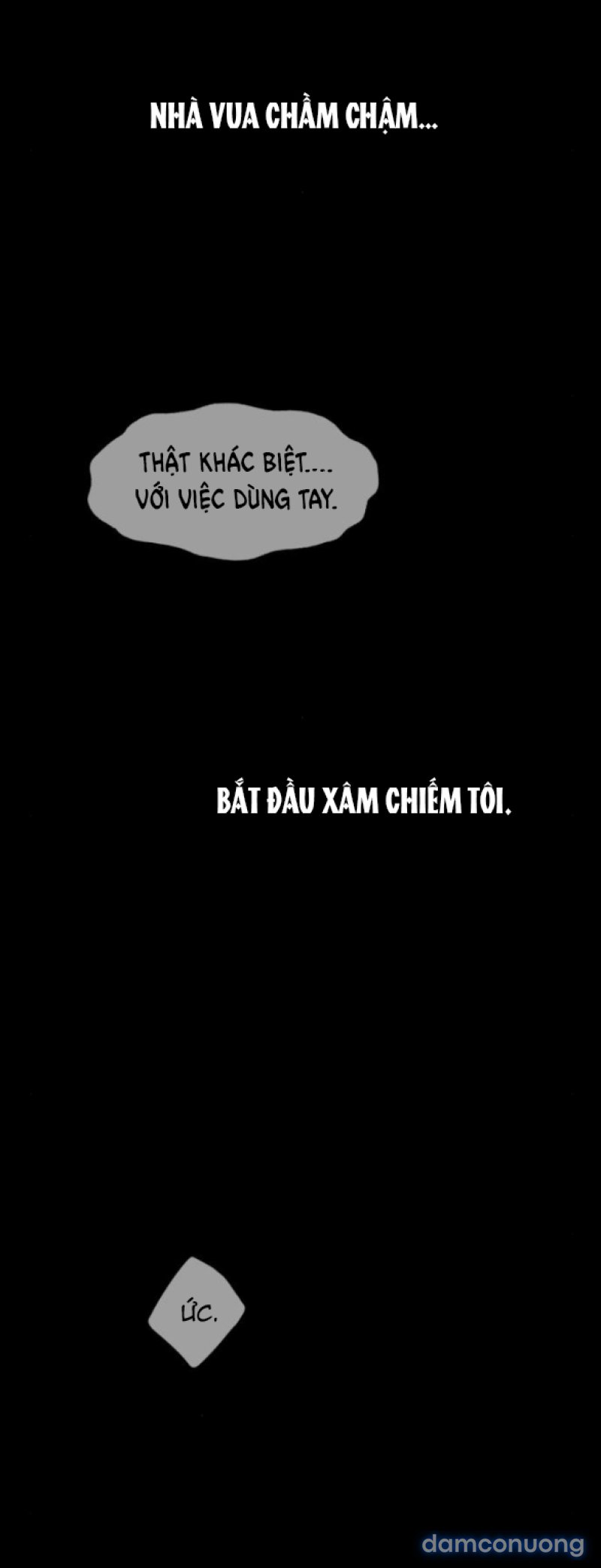 Chuyến Đi Đêm Cùng Nhà Vua 