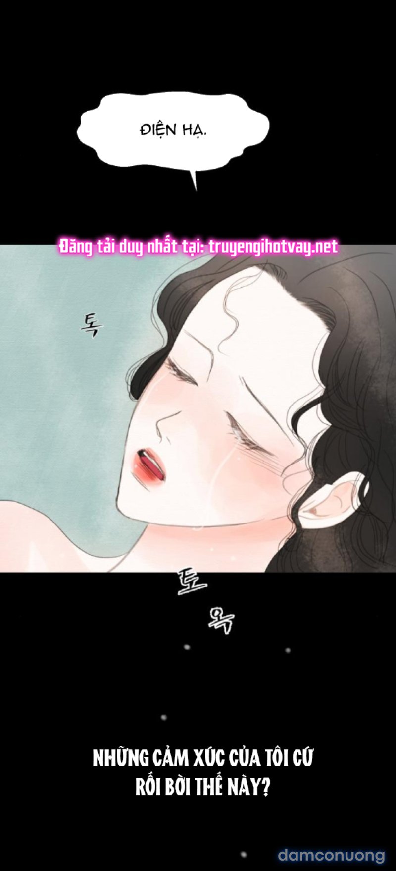 Chuyến Đi Đêm Cùng Nhà Vua 