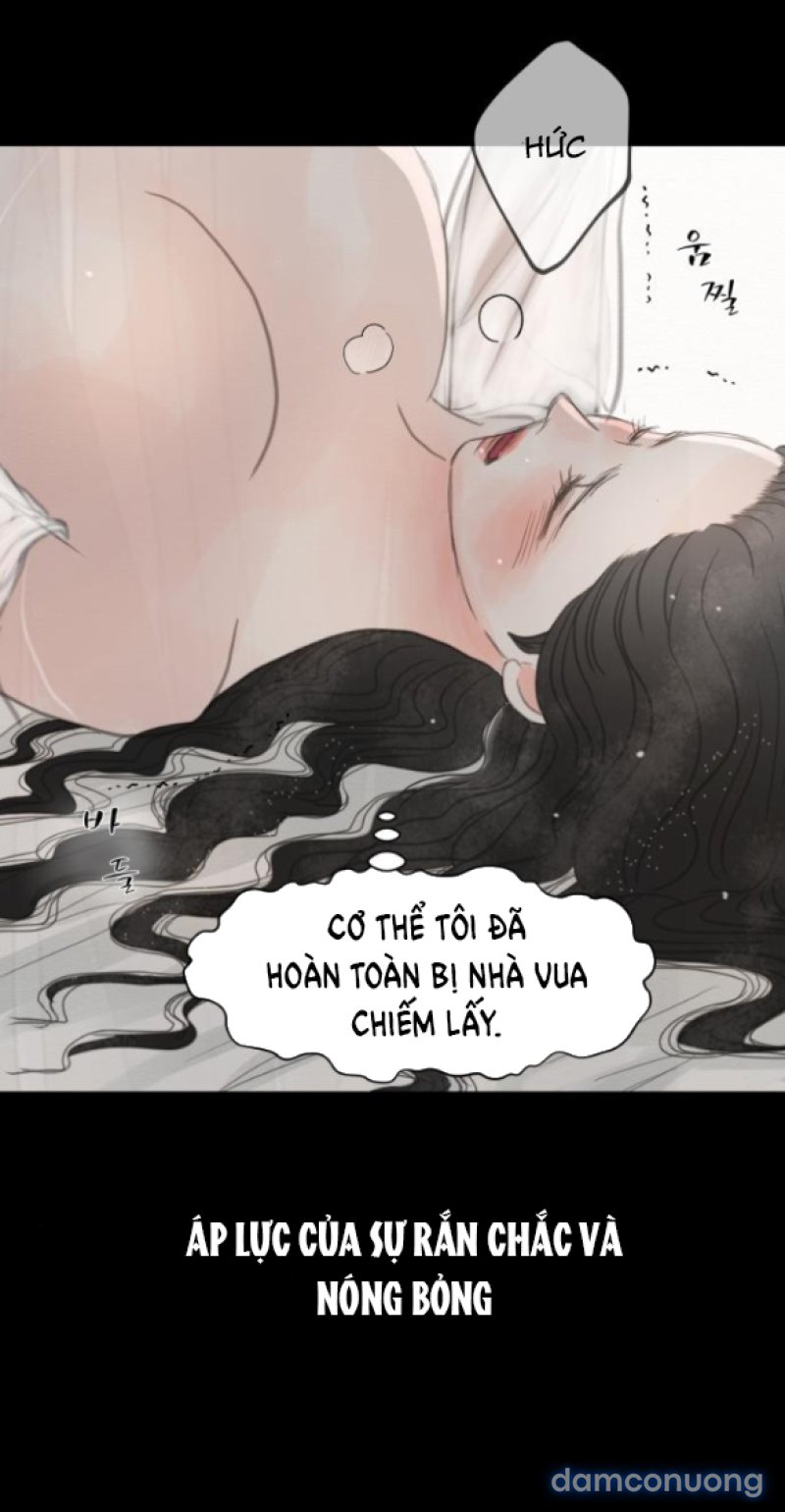 Chuyến Đi Đêm Cùng Nhà Vua 