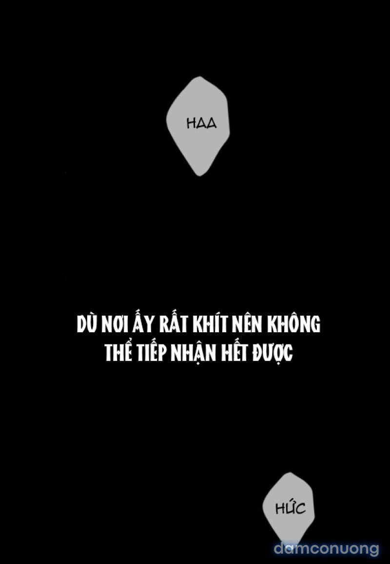 Chuyến Đi Đêm Cùng Nhà Vua 