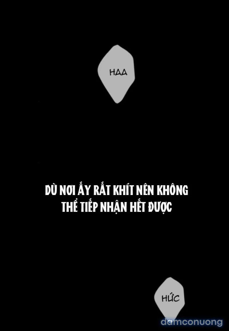 Chuyến Đi Đêm Cùng Nhà Vua 