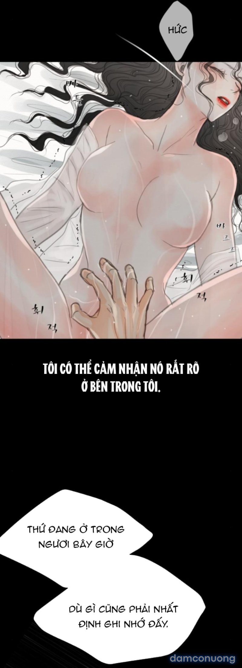 Chuyến Đi Đêm Cùng Nhà Vua 