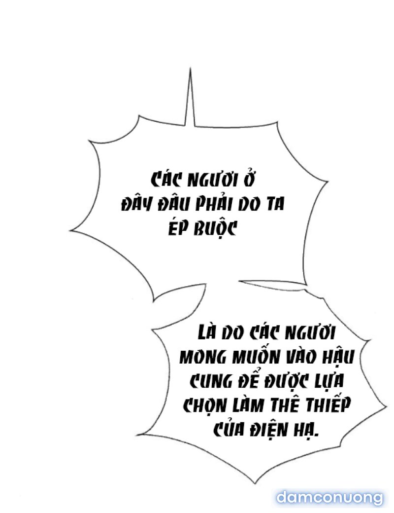 Chuyến Đi Đêm Cùng Nhà Vua 