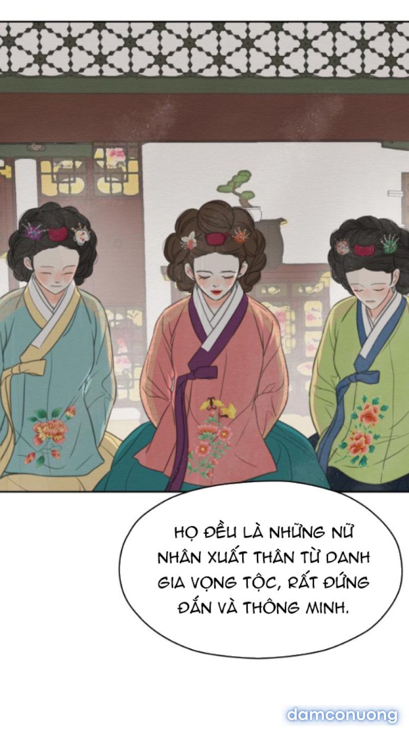 Chuyến Đi Đêm Cùng Nhà Vua 