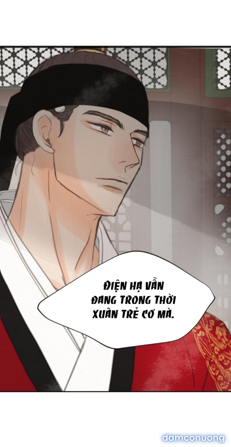 Chuyến Đi Đêm Cùng Nhà Vua 