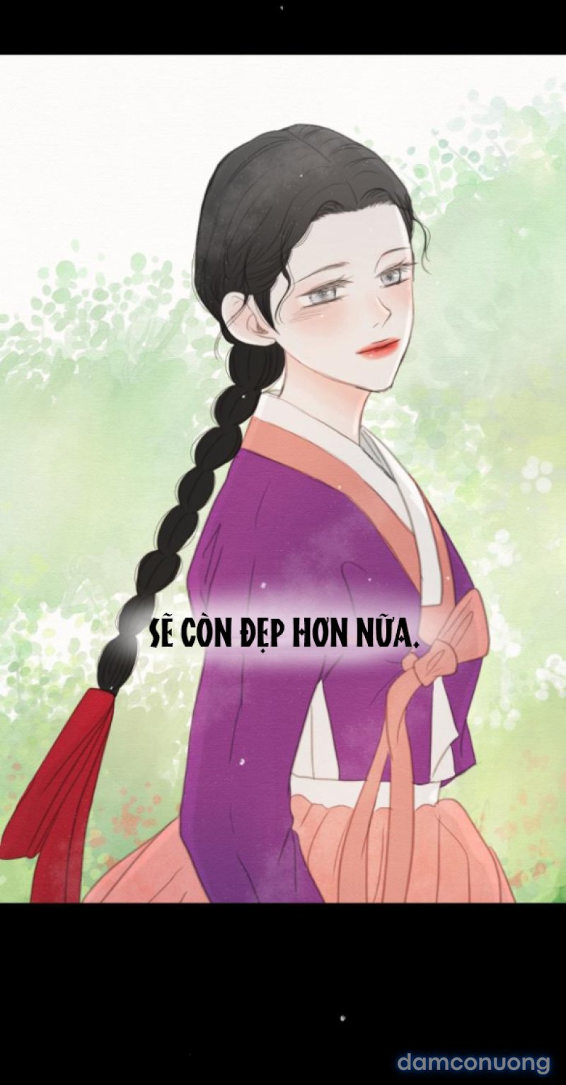 Chuyến Đi Đêm Cùng Nhà Vua 