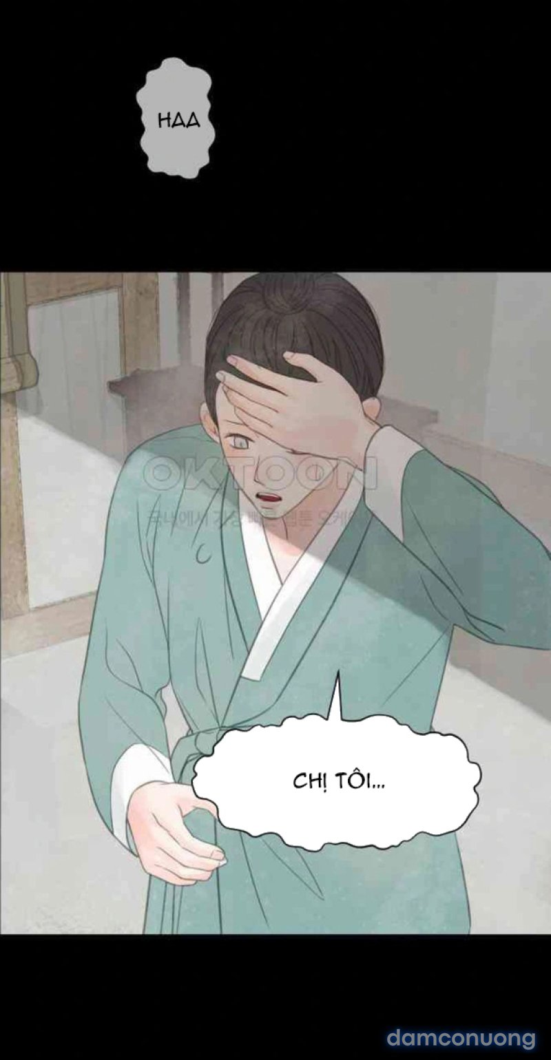 Chuyến Đi Đêm Cùng Nhà Vua 
