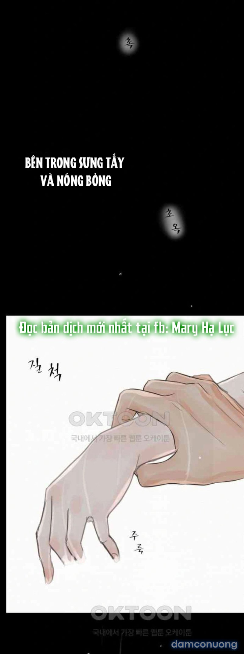 Chuyến Đi Đêm Cùng Nhà Vua 