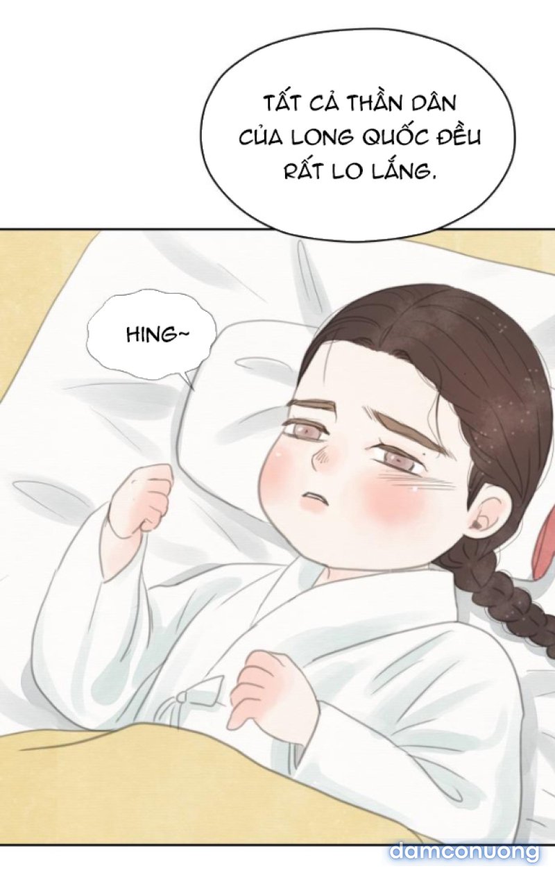 Chuyến Đi Đêm Cùng Nhà Vua 