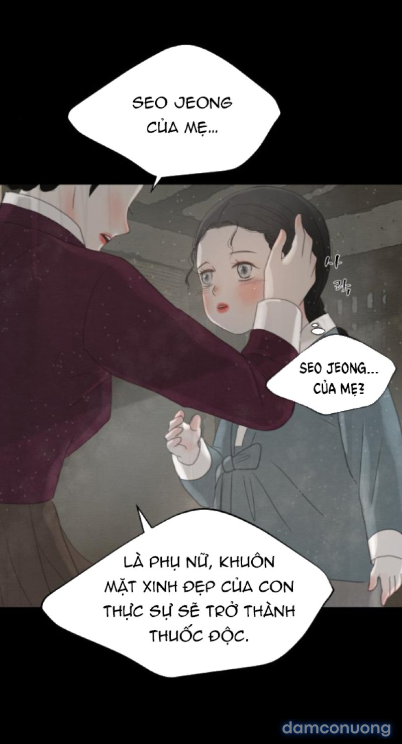 Chuyến Đi Đêm Cùng Nhà Vua 
