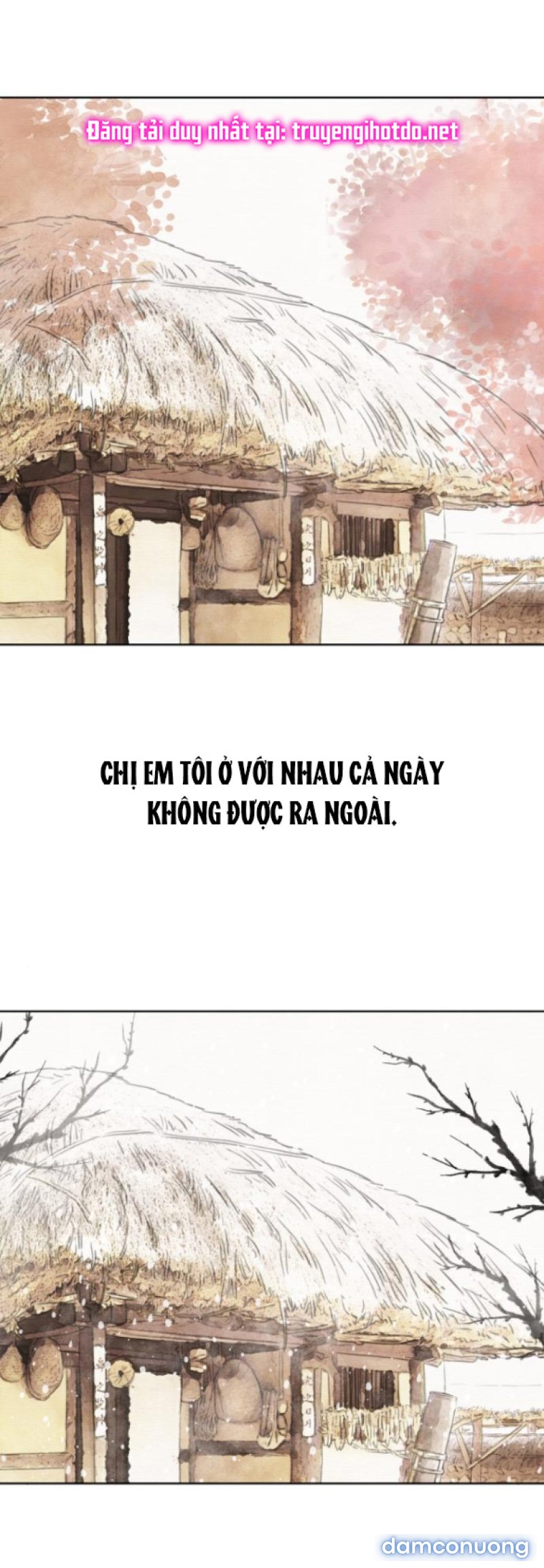 Chuyến Đi Đêm Cùng Nhà Vua 