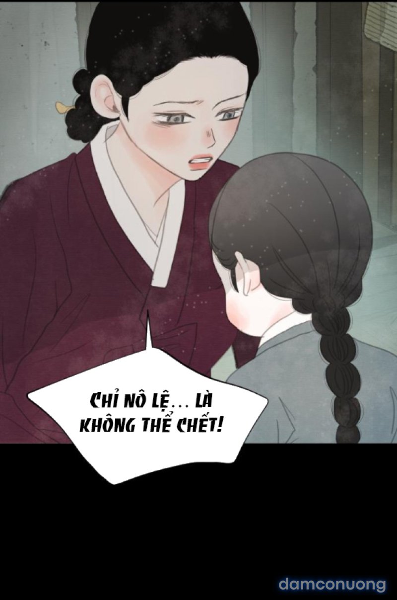 Chuyến Đi Đêm Cùng Nhà Vua 
