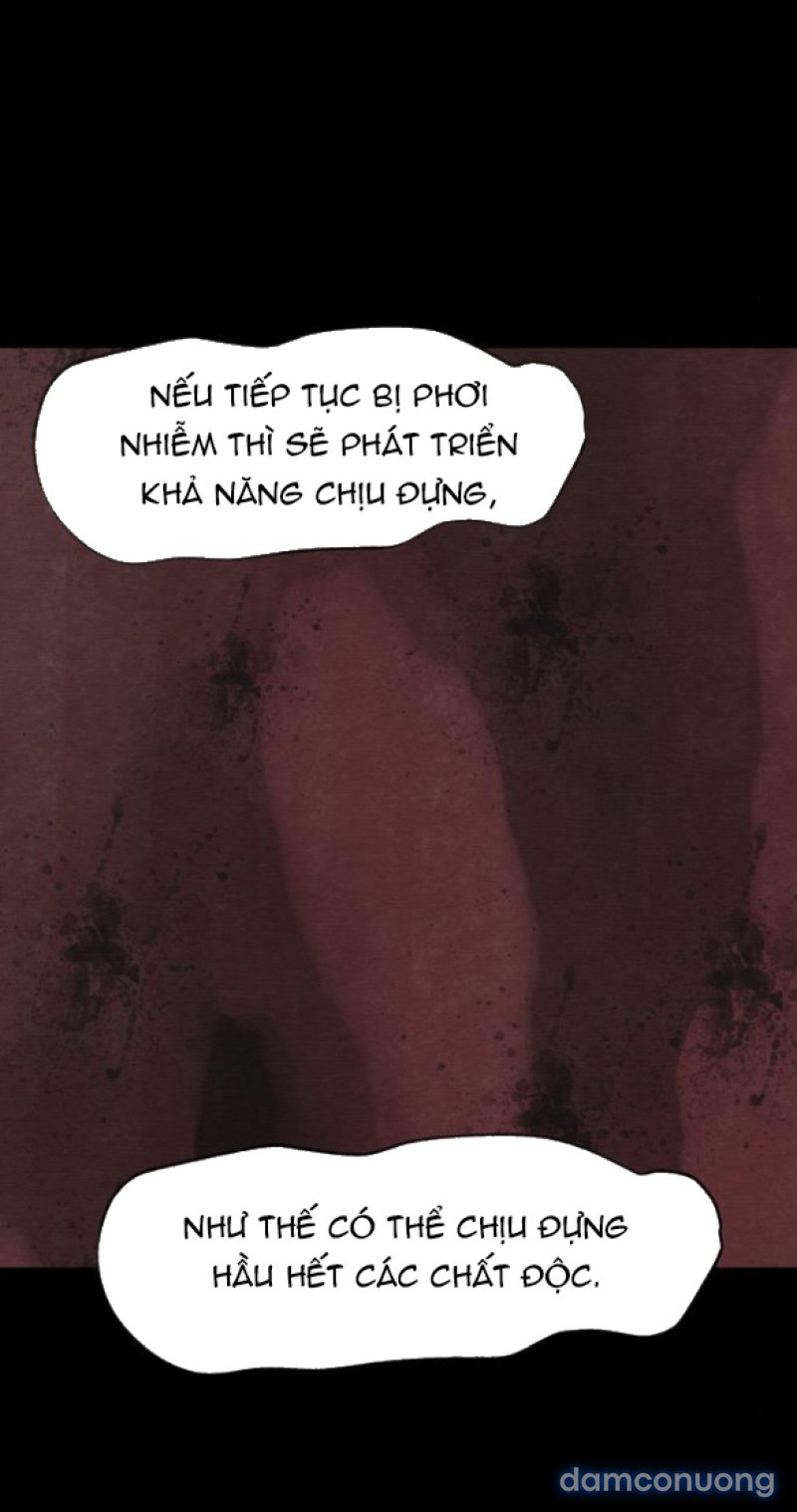 Chuyến Đi Đêm Cùng Nhà Vua 