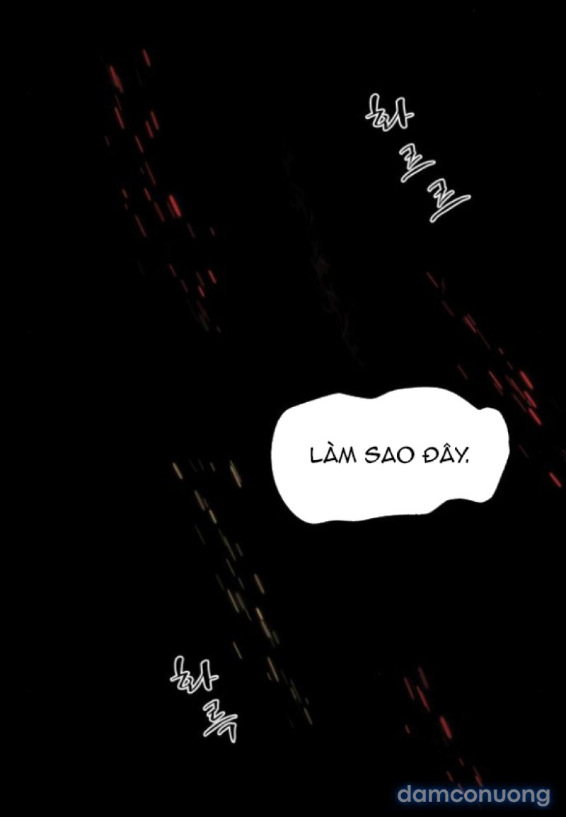 Chuyến Đi Đêm Cùng Nhà Vua 