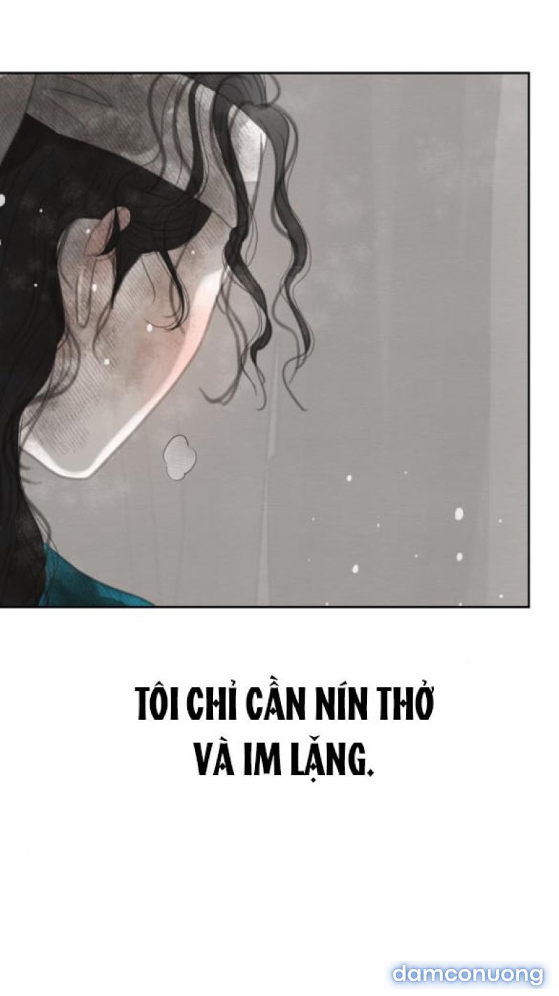 Chuyến Đi Đêm Cùng Nhà Vua 