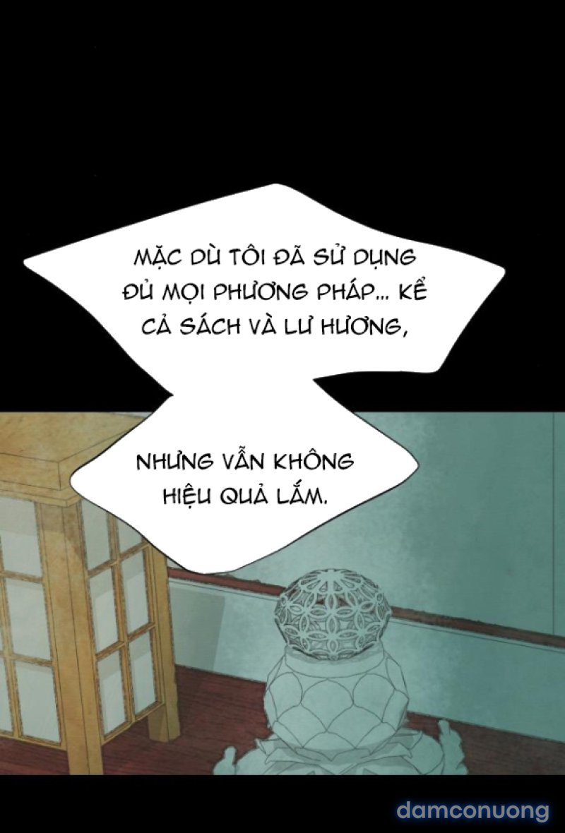 Chuyến Đi Đêm Cùng Nhà Vua 