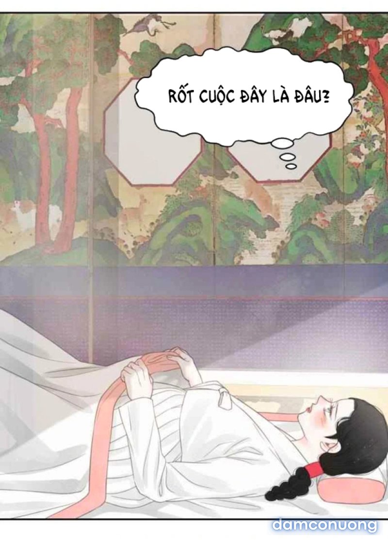 Chuyến Đi Đêm Cùng Nhà Vua 
