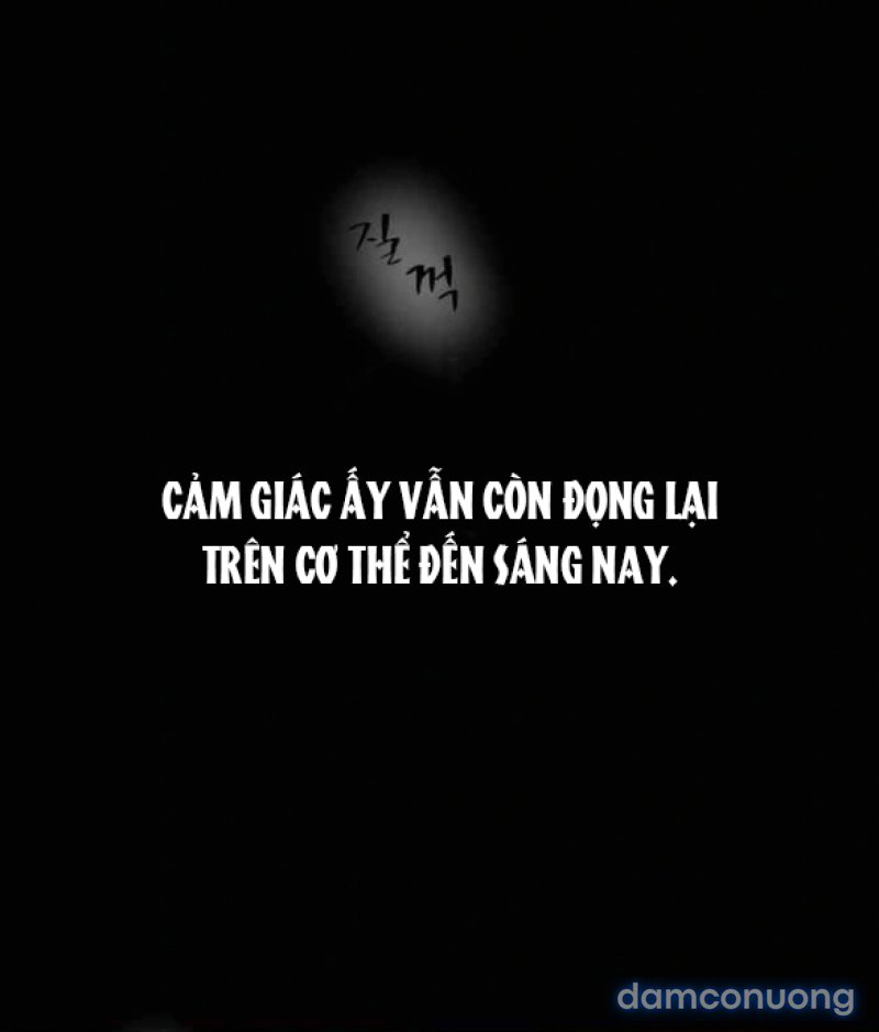 Chuyến Đi Đêm Cùng Nhà Vua 