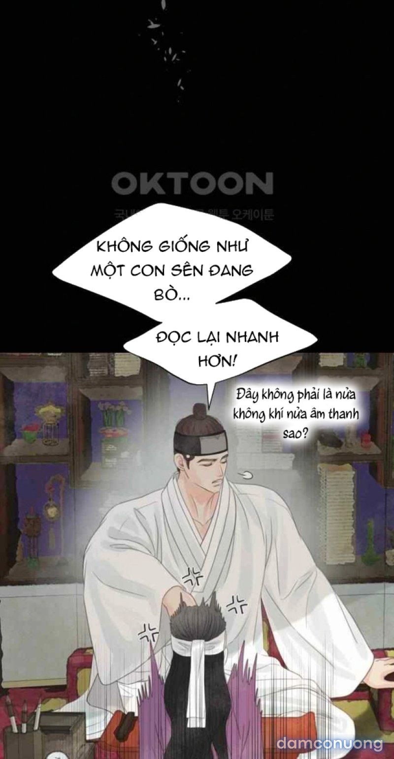 Chuyến Đi Đêm Cùng Nhà Vua 
