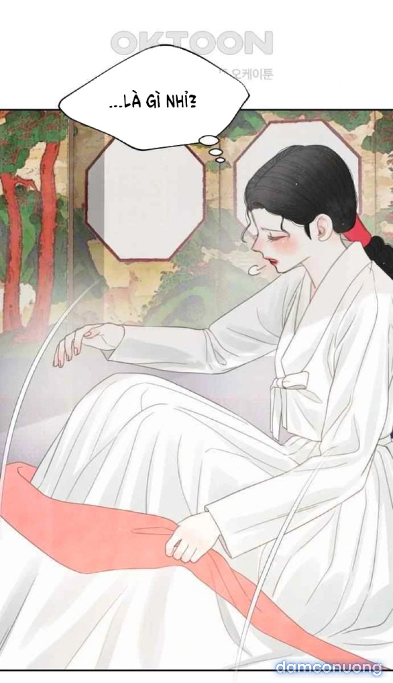 Chuyến Đi Đêm Cùng Nhà Vua 