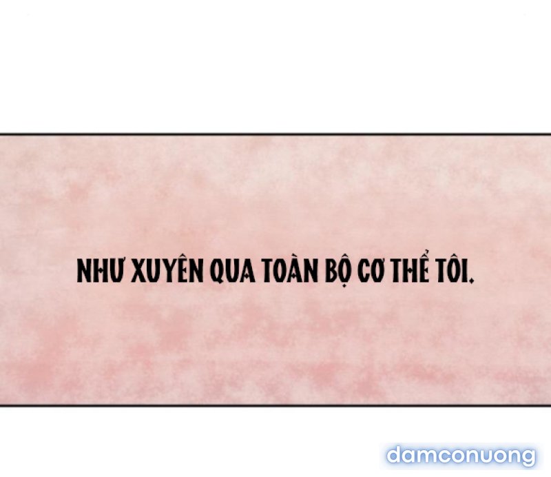 Chuyến Đi Đêm Cùng Nhà Vua 