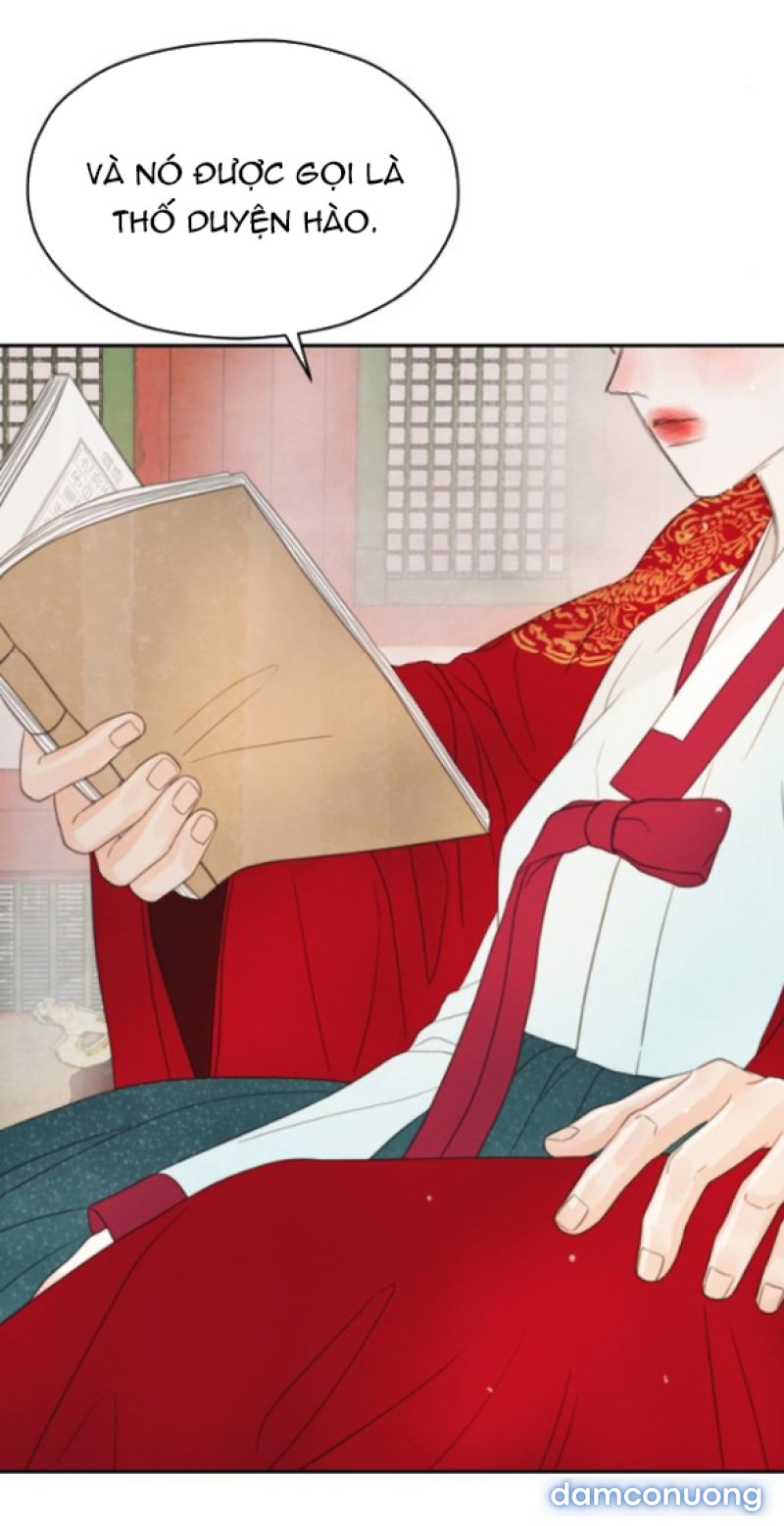Chuyến Đi Đêm Cùng Nhà Vua 