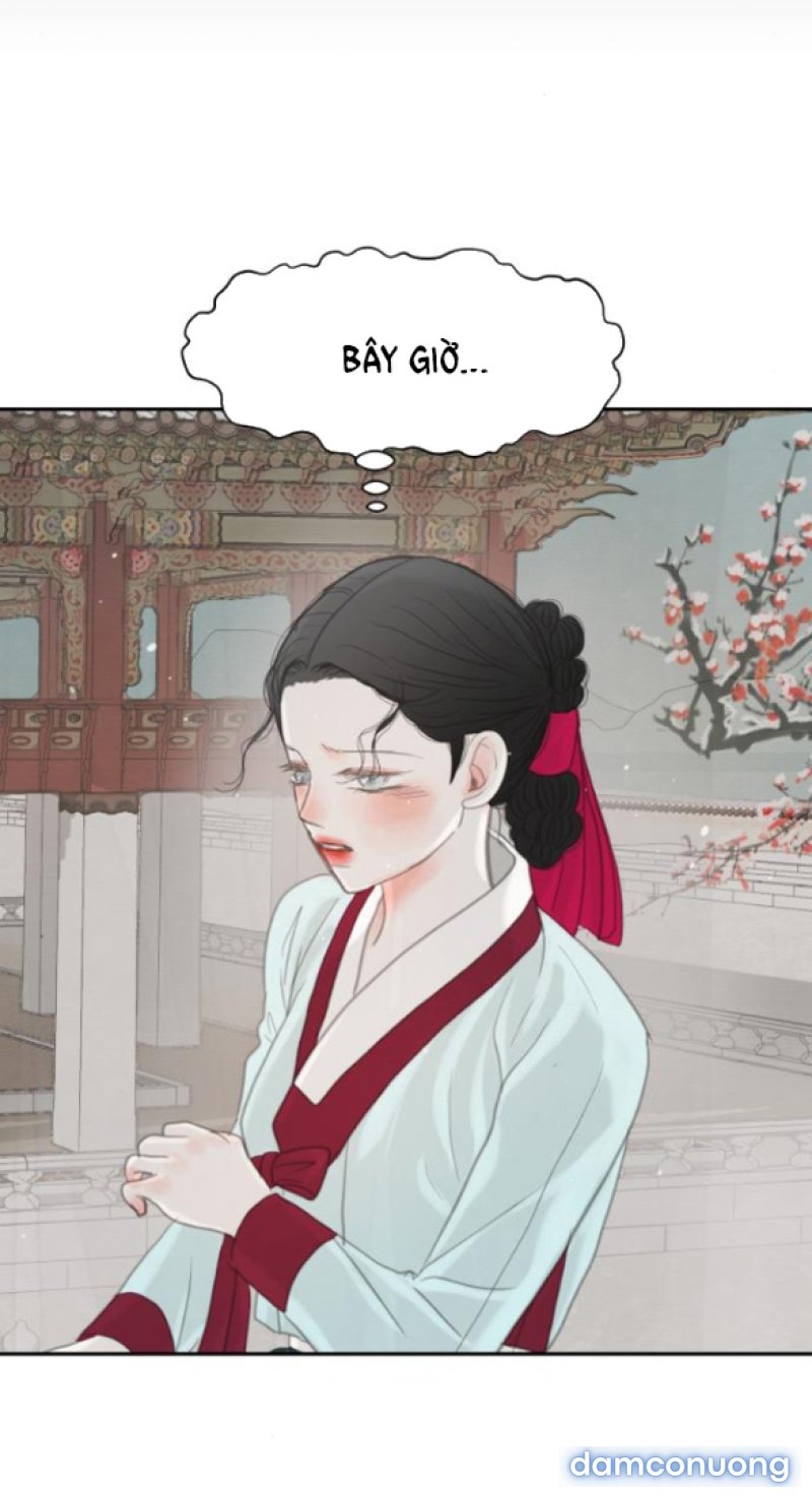 Chuyến Đi Đêm Cùng Nhà Vua 