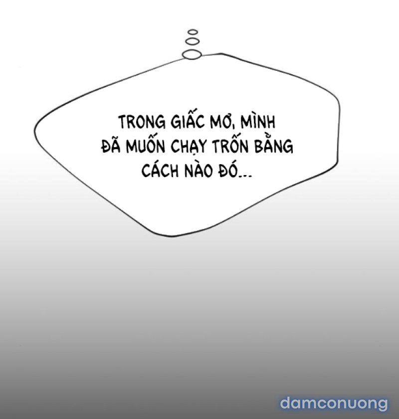Chuyến Đi Đêm Cùng Nhà Vua 