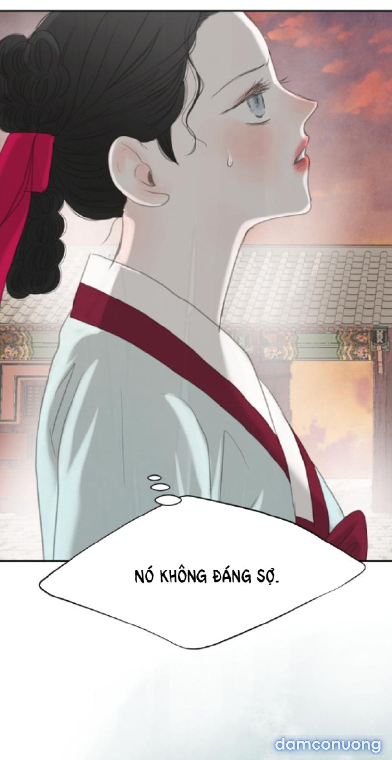 Chuyến Đi Đêm Cùng Nhà Vua 