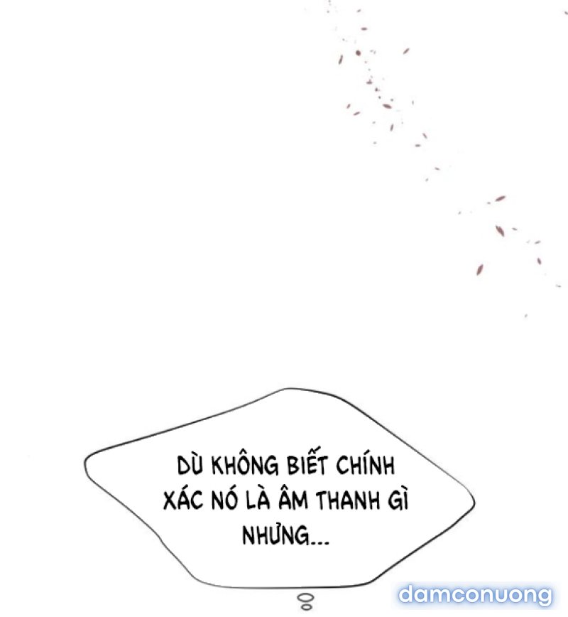 Chuyến Đi Đêm Cùng Nhà Vua 