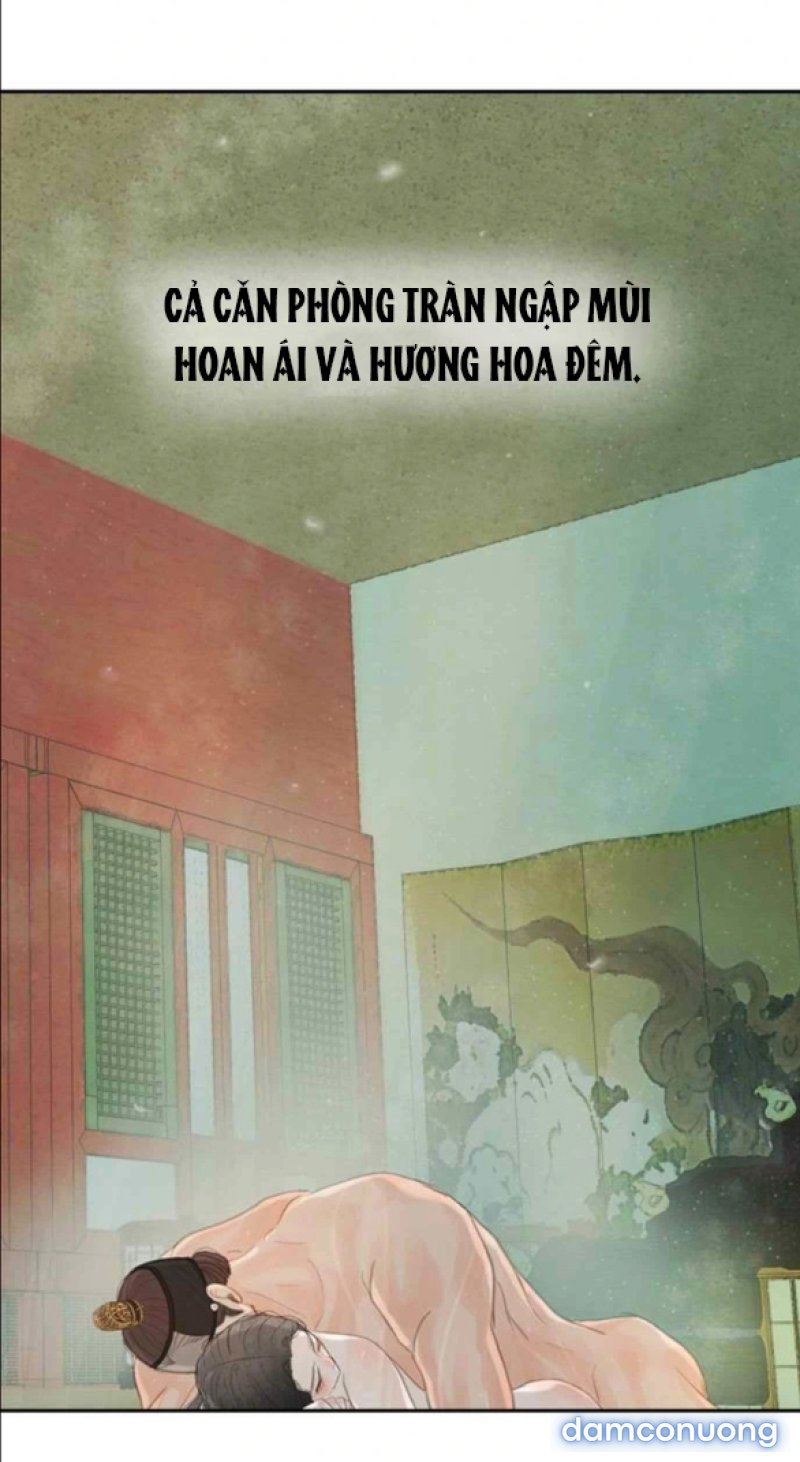 Chuyến Đi Đêm Cùng Nhà Vua 