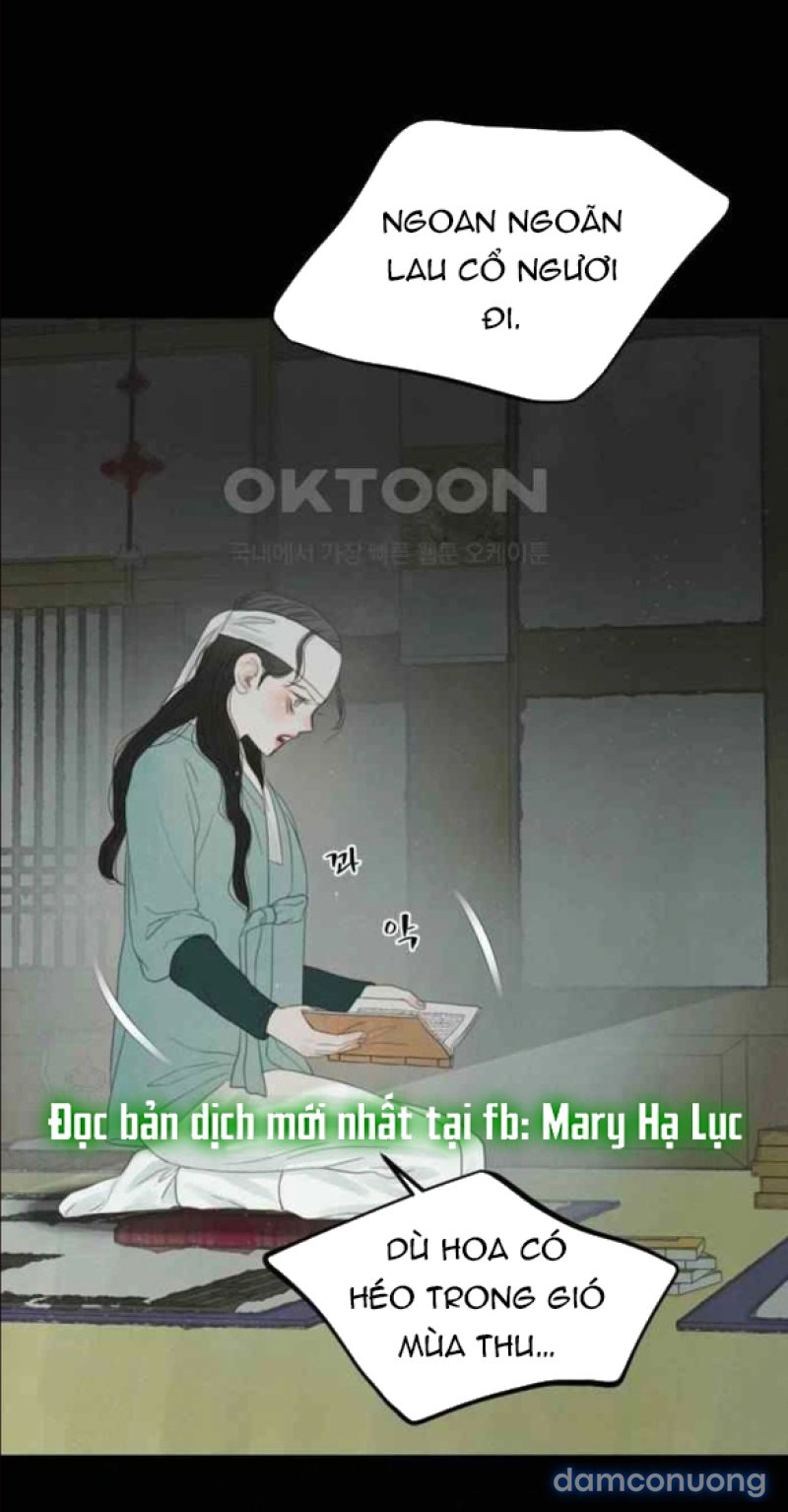 Chuyến Đi Đêm Cùng Nhà Vua 
