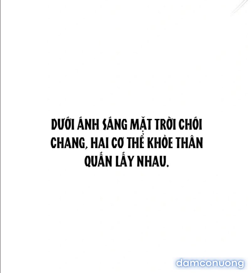 Chuyến Đi Đêm Cùng Nhà Vua 