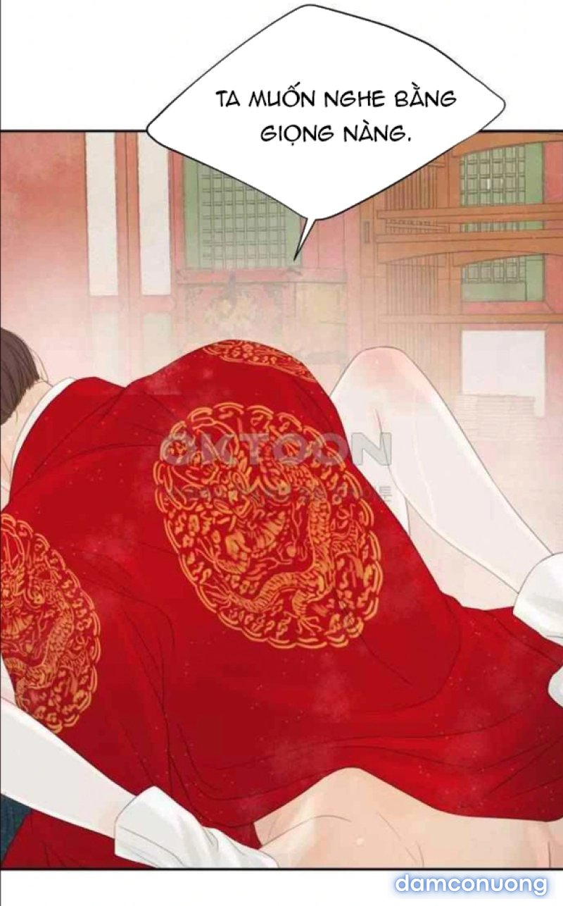 Chuyến Đi Đêm Cùng Nhà Vua 