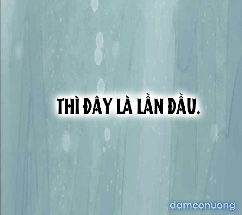 Chuyến Đi Đêm Cùng Nhà Vua 