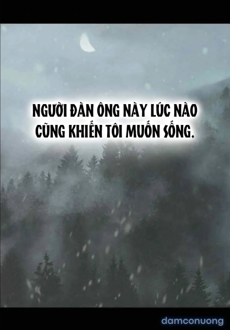Chuyến Đi Đêm Cùng Nhà Vua 
