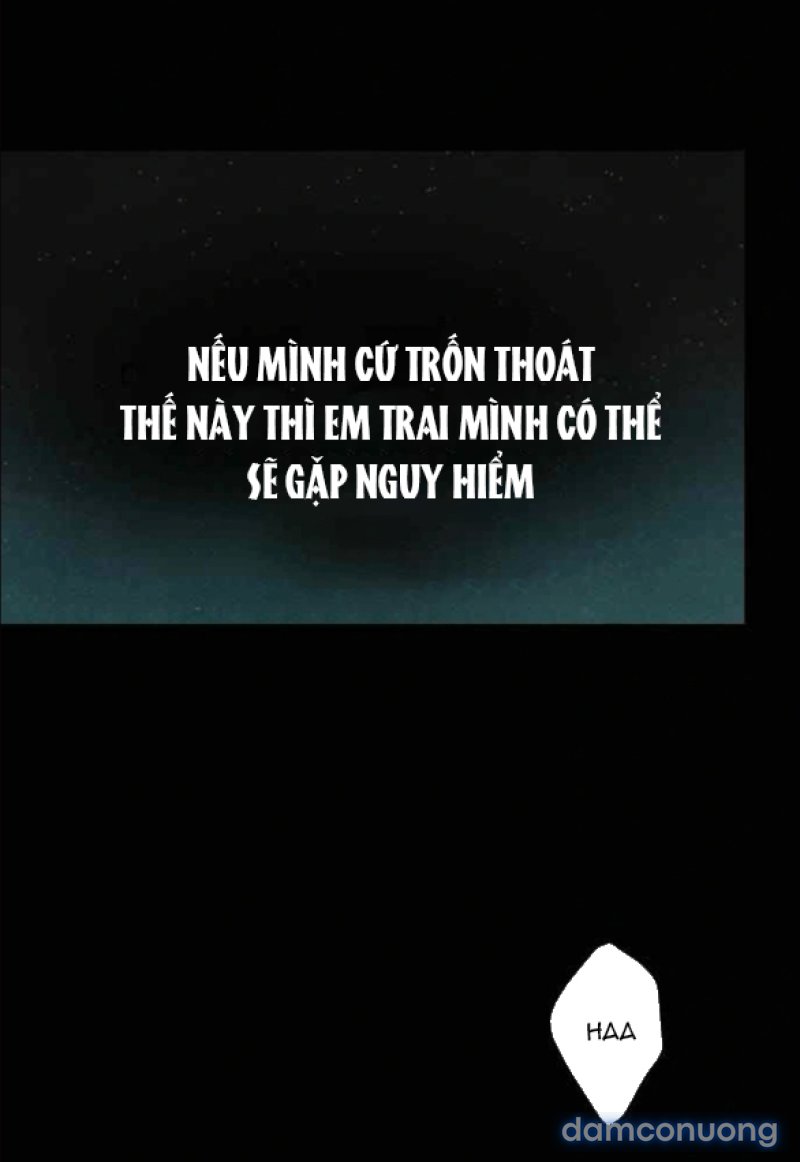 Chuyến Đi Đêm Cùng Nhà Vua 