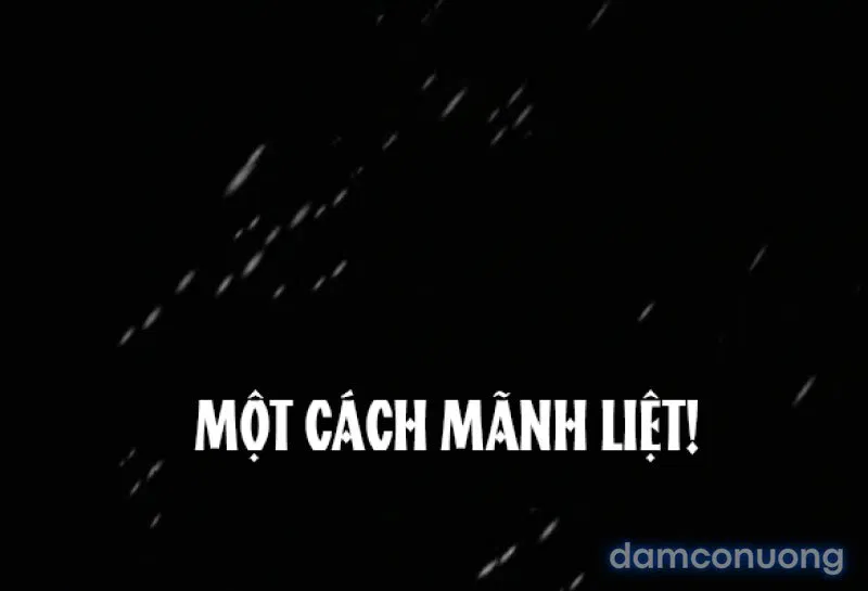 Chuyến Đi Đêm Cùng Nhà Vua 