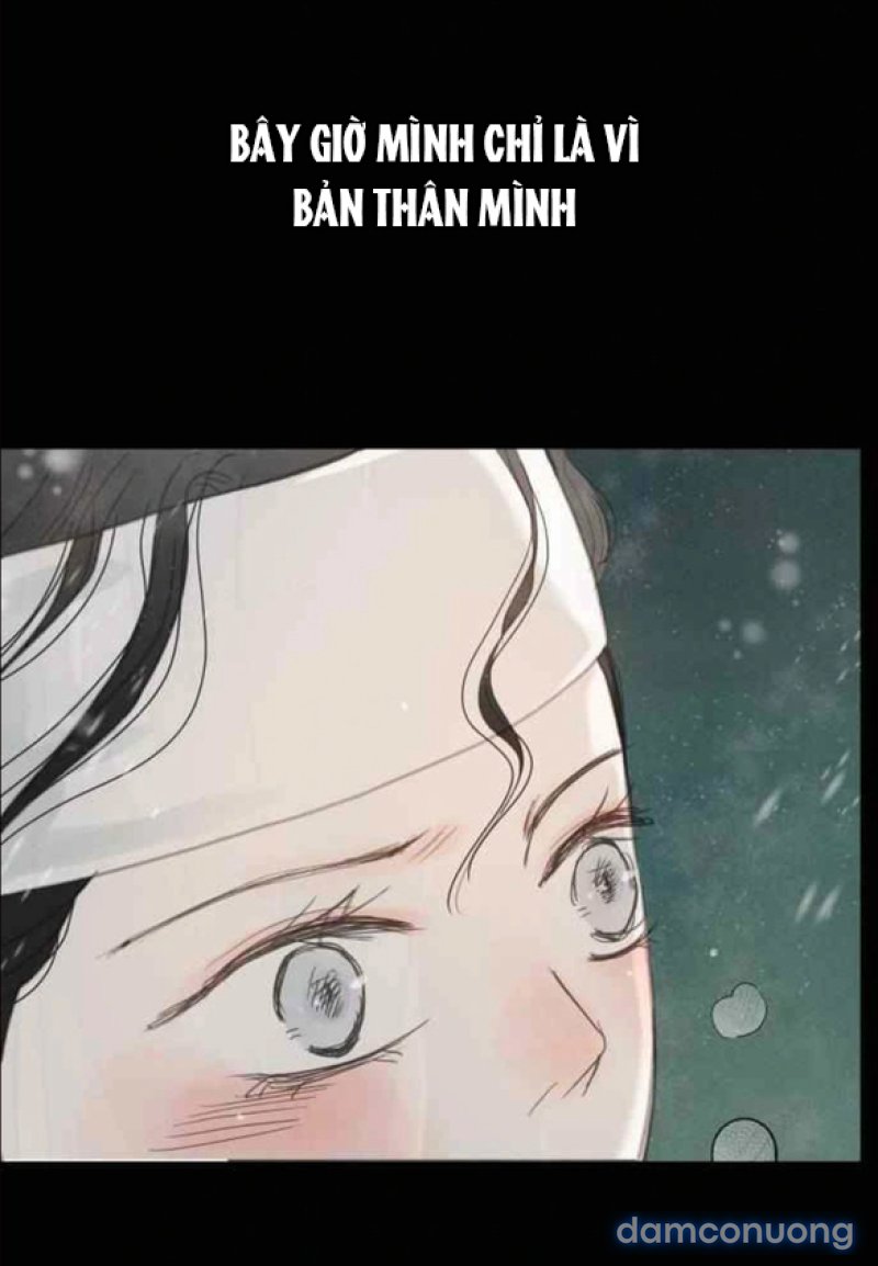 Chuyến Đi Đêm Cùng Nhà Vua 